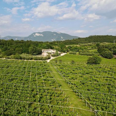 Serene Holiday And Wine Farm Affi Exteriér fotografie