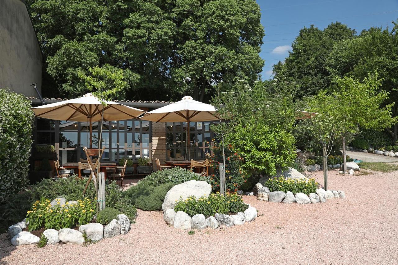 Serene Holiday And Wine Farm Affi Exteriér fotografie