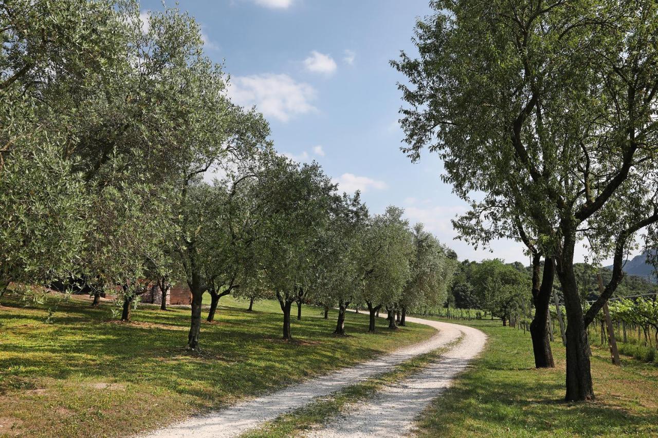 Serene Holiday And Wine Farm Affi Exteriér fotografie